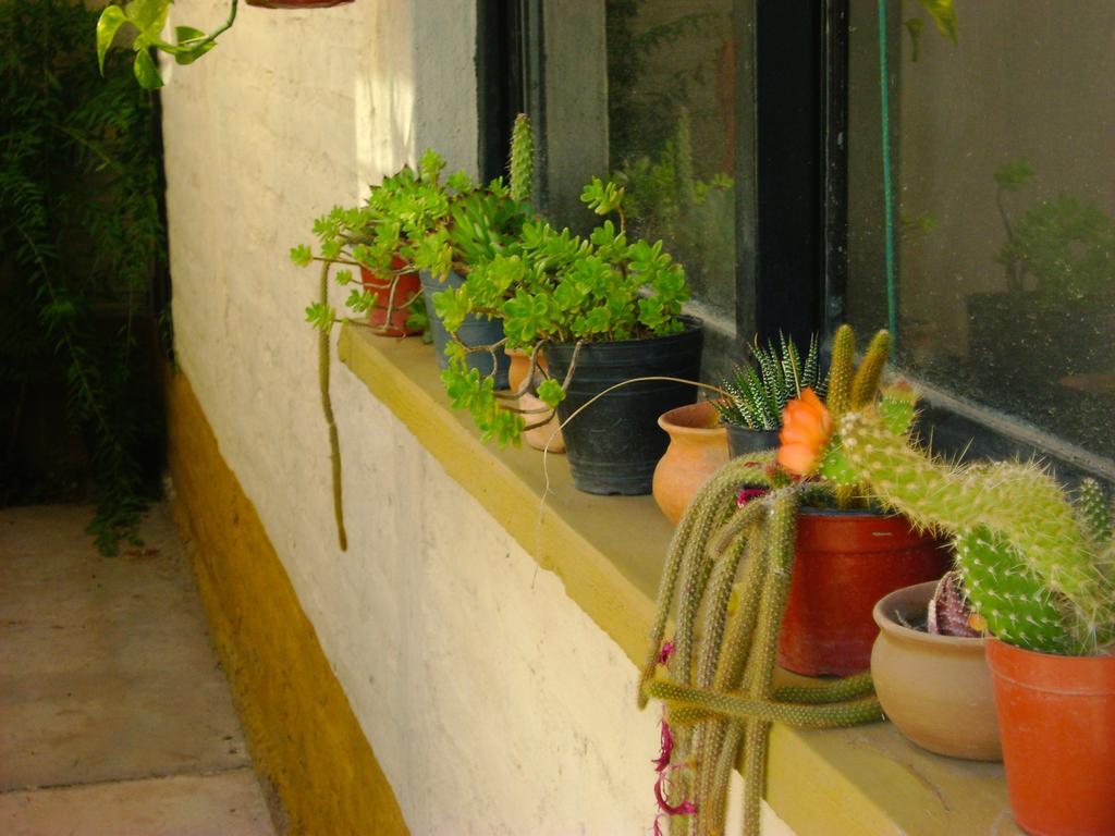 Pasos Andinos B&B Eugenio Bustos Ngoại thất bức ảnh
